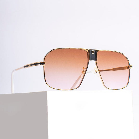Curating Life's Palette Sunglass